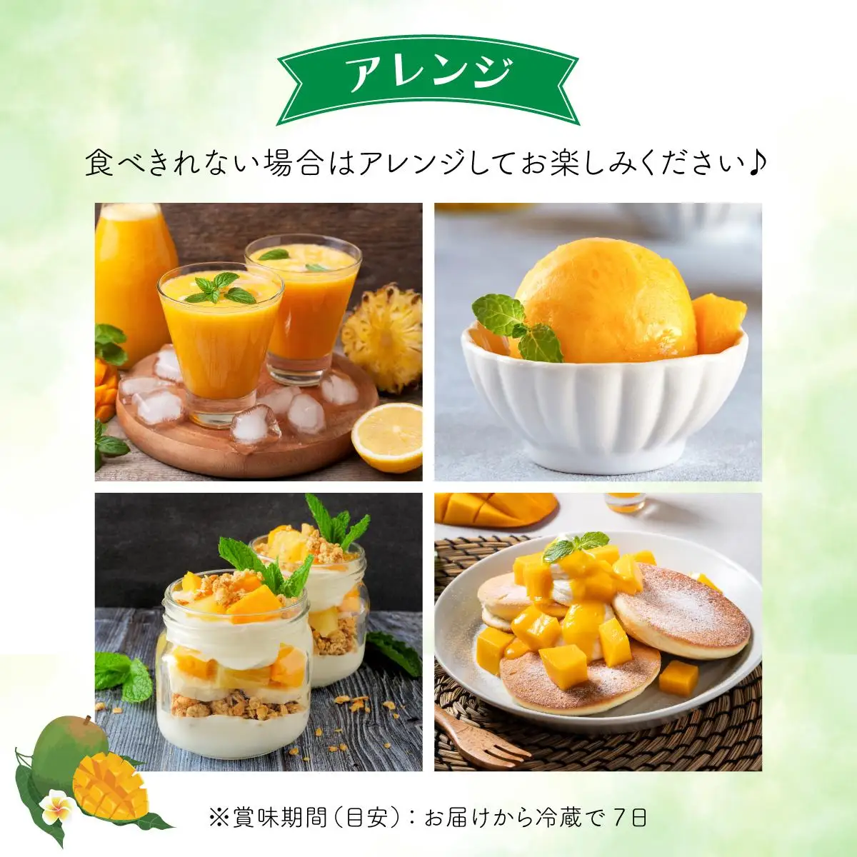 マンゴー 約1.8kg 2～4玉 希少品種 