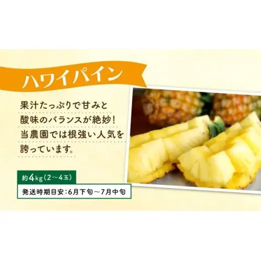 定期便 4回 パイナップル 旬果便 