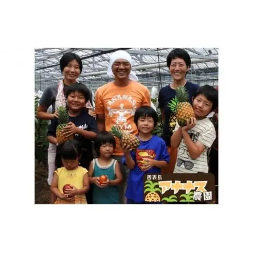  フルーツジャム 3本セット