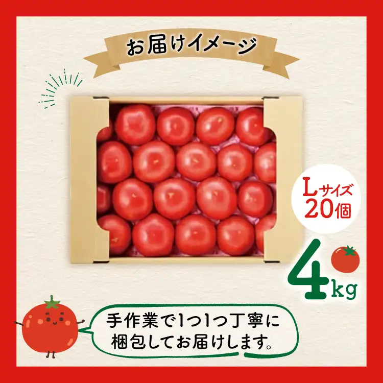 【期間限定発送】 波乗り トマト とまたん 4kg 20個入