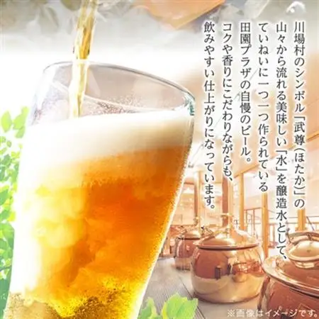 IPA　12本セット_酒・アルコール  ビール _【1446343】