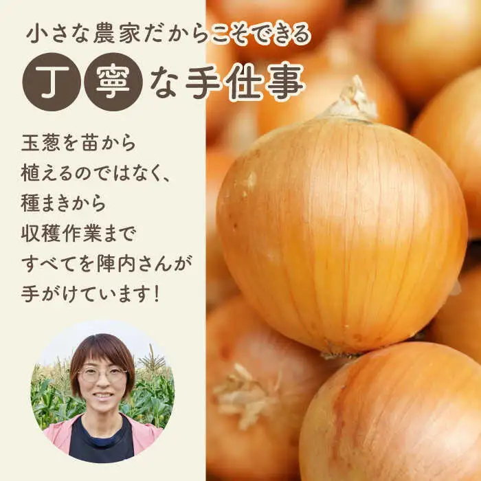玉葱農家の 玉葱黒カレー（5袋） / 玉ねぎカレー [IAO021]