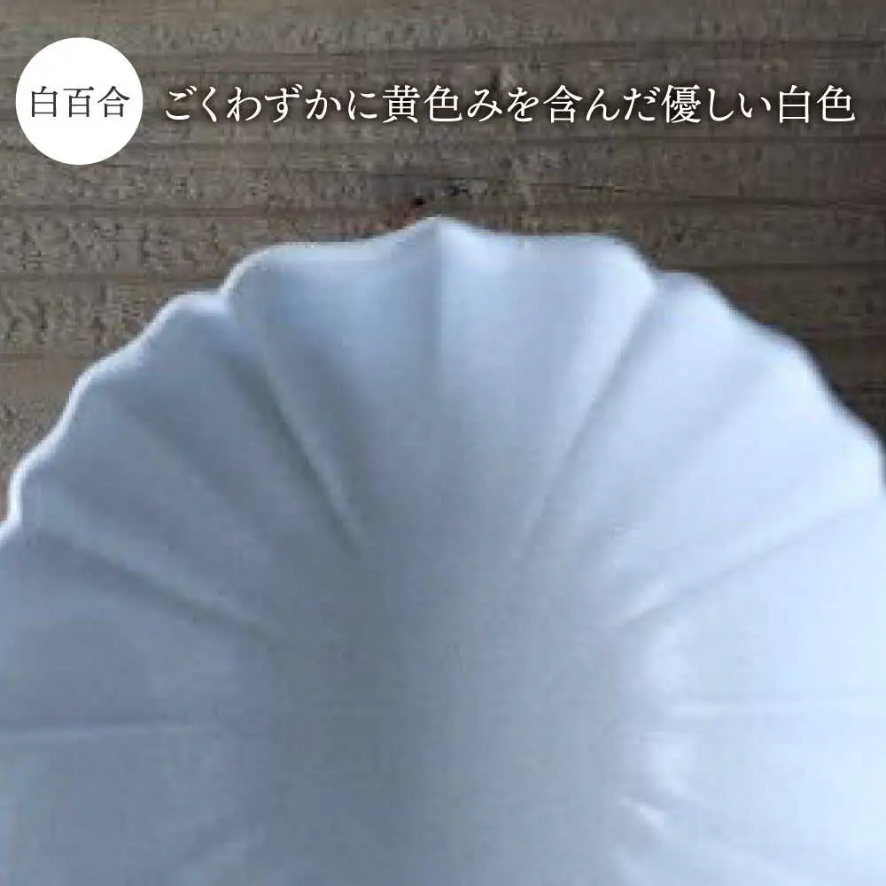 【美濃焼】稜花 14cm・11cm 深鉢 4点セット（白百合×墨）【Felice-フェリーチェ-藤田陶器】食器 小鉢 副菜鉢 ボウル サラダボウル 写真映え おしゃれ 送料無料 [MBX062]
