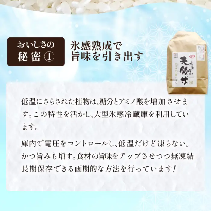石見銀山天領米（氷感熟成エコロジー米こしひかり）10kg（5kg×2袋）【コシヒカリ 10kg こしひかり お米 精米 島根県産 大田市産 米 氷感熟成 エコロジー米 減農薬 減化学肥料】