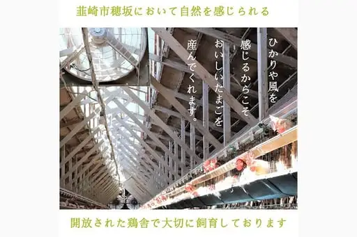 卵 こだわり卵 穂坂のあかたま 10個 3パック 計30個