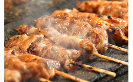 焼き鳥 9種  やきとり 焼鳥 セット 冷凍 小分け 国産
