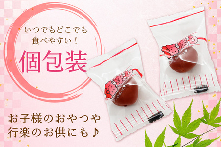 【カリカリ】梅恋し 10個×2袋 小梅 カリカリ梅干し 個包装