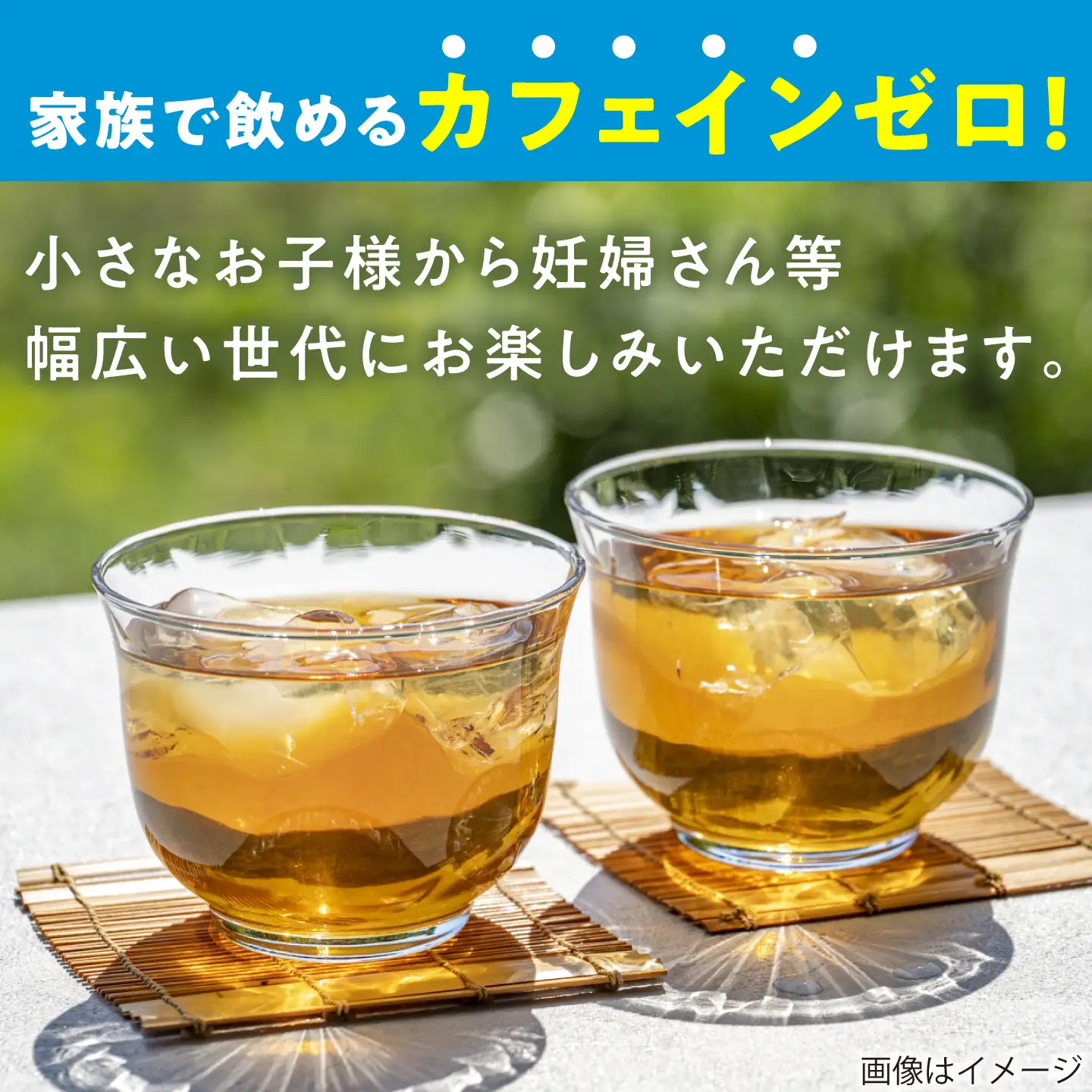 【全3回定期便】麦茶 600ml × 24本  糸島市 / スターナイン お茶 ペットボトル [ARM018]