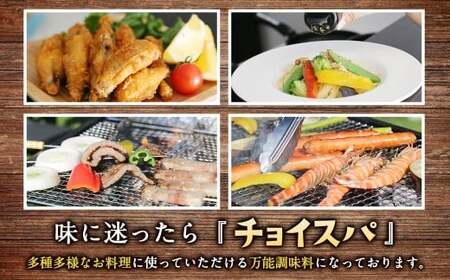 スープカレー専門店 禅 チョイスパ ３種の詰め合わせセット (スパイシー味・カレー味・ホットチリ味) 各40g×3本