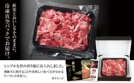 訳あり 飛騨牛 焼肉 切り落とし 500g 冷凍真空パック | 切り落とし MZ013