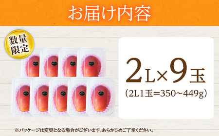 オンライン決済限定 リピーター続出!!宮崎県産 完熟 マンゴー 2L以上×9玉_IE5-25