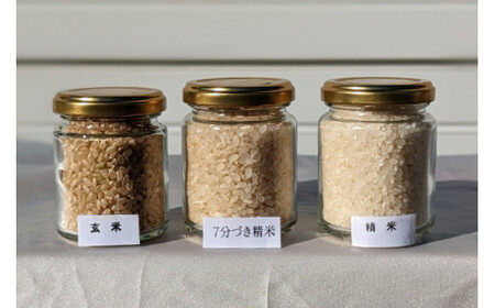 【期間限定発送】 米 令和6年 特別栽培米 コシヒカリ 7分づき 5kg ×1