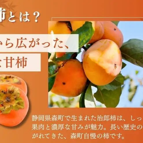 森の治郎柿（10玉） 果物 両角柿園 静岡県産 次郎柿