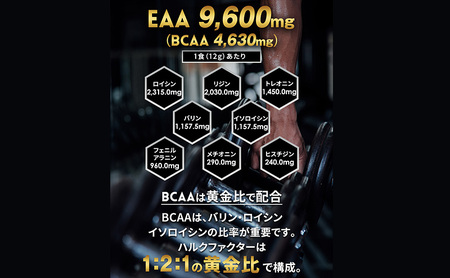 EAA ハルクファクター 白ぶどう風味 必須アミノ酸 EAA【520g】