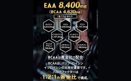 EAA ハルクファクター アセロラ風味 必須アミノ酸 EAA【520g】
