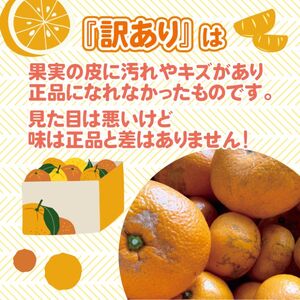 訳あり みかん 【先行受付】【2026年11月以降発送】甘いだけじゃない！ 甘みと酸味の 訳あり早生みかん ＜約5kg＞ 広島 三原 佐木島 鷺島みかんじま 017015