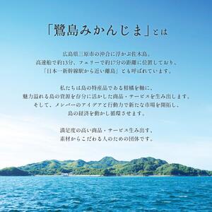 みかん【先行受付】【2027年3月上旬以降発送】甘味が強くむきやすい 希少な品種 春峰 ＜約5kg＞ 広島 三原 佐木島 鷺島みかんじま 017025