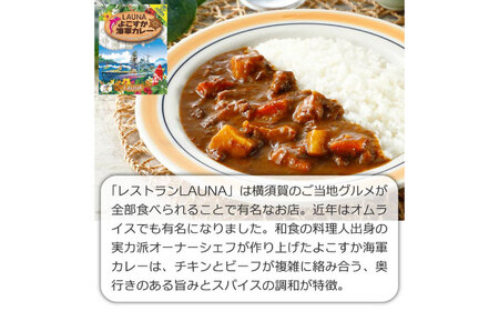 カレーの街よこすか名店 5種食べ比べプレミアムBOX 200g×4 180g×1 カレー 海上自衛隊カレー 海軍 海軍カレー 軍艦 横須賀 自衛隊 神奈川 レトルト 非常食 保存食  【横須賀商工会議所 おもてなしギフト事務局（株式会社調味商事）】 [AKAQ007]