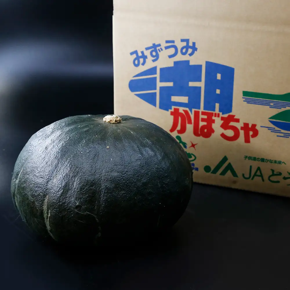 【先行予約】北海道 豊浦町 かぼちゃ 栗大将 約10kg 5-7玉【2026年9月上旬発送開始】 カボチャ 南瓜 野菜 煮物 天ぷら
