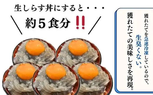 生しらす お刺身 500g 小分け 岬だより 生しらす刺し身