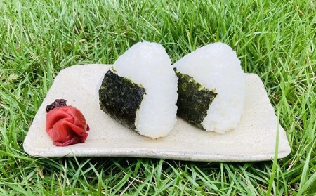 【わいわいベジタブル】令和8年度淡路島産新米コシヒカリ 10kg（5kg×2）