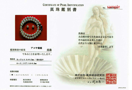 【大珠】 アコヤ真珠 8～8.5mm ネックレス イヤリング セット 真珠 アクセサリー パール 母の日 入学式 卒業式 結婚式 冠婚葬祭 誕生石 フォーマル ジュエリー / 老舗の真珠専門店・高品質アコヤ真珠ネックレスセット8.0～8.5ミリ (イヤリングセット) 