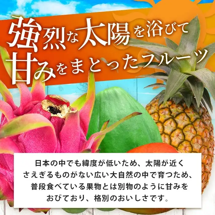 《2027年夏に順次発送予定》石垣島の夏「果物」詰め合わせ～夏のタカラモノ果物便～