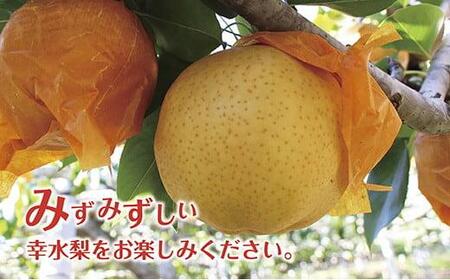 《先行予約》いわき市産　梨　幸水　約 3kg（約6～8個）