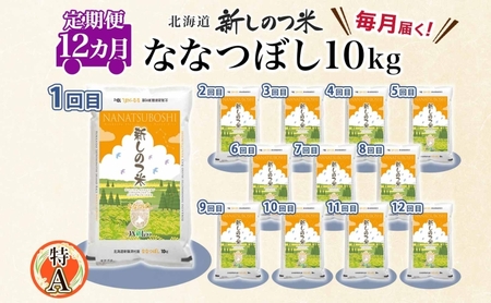 北海道 定期便 12ヵ月 連続 全12回  R8年産 北海道産 ななつぼし 10kg 精米 米 ごはん お米 新米 特A 北海道米 ブランド米 道産 ご飯 お取り寄せ 1年 まとめ買い 新しのつ米 令和8年産 常温