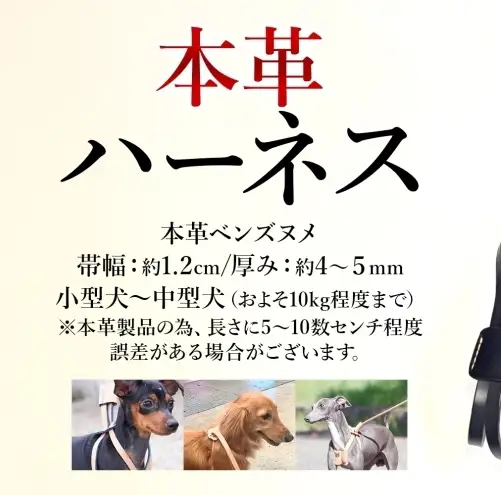 犬用 ハーネス 胴輪 小型犬 中型犬 ナチュラル ヌメ革 レザー 本革 牛革 手作り ハンドメイド ペット用品 お散歩 お出かけ オーダーメイド 犬具 神奈川県 ギフト 贈り物 プレゼント ご褒美 ブルー