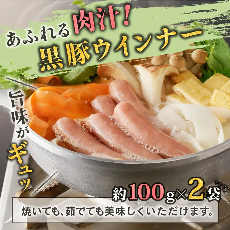 【10営業日以内に発送】鹿児島黒豚 バラエティー セット K091-008 肉 豚肉 惣菜 総菜 冷凍 ハンバーグ スピード配送 最短 すぐ届く お急ぎ