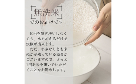令和7年産 ブランド米 魚沼産コシヒカリ 無洗米 10kg（5kg×2袋） お米 