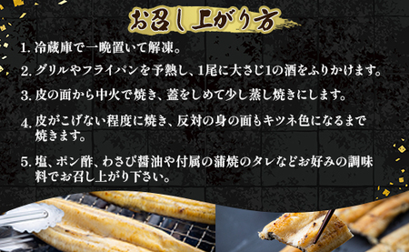 【6カ月定期便】高知県産鰻の白焼き 2尾(150～180ｇ) 合計12尾 特大サイズ【白焼き 国産 白焼き鰻 蒲焼きタレ付き 白焼き レシピ付き 白焼き 特大 白焼き】 Wyw-0075