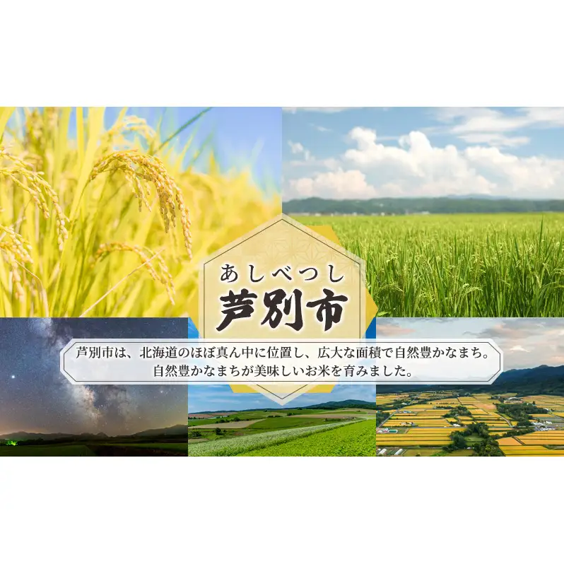 米 ゆめぴりか 精米 白米 10kg 5kg×2袋 お米