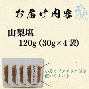 山梨塩 30g袋入り 4袋  塩 調味料 なし 梨 おしお しお ソルト salt ミニボトル 料理 味付 岩手県 大船渡市