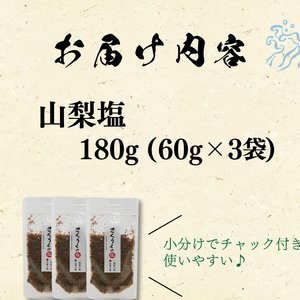 山梨塩 60g袋入り 3袋 塩 調味料 なし 梨 おしお しお ソルト salt ミニボトル 料理 味付 岩手県 大船渡市