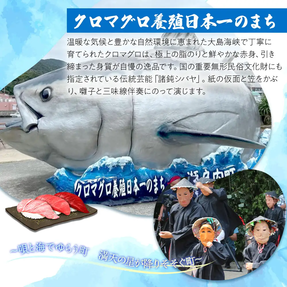 ＜奄美大島からお届け＞こな黒糖 500g×12袋 セット