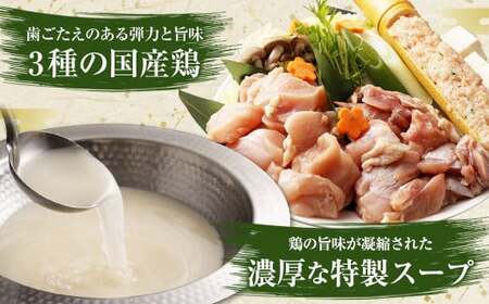 ハーブ育ちチキン使用！ 水炊き 8人前 ＆【国産冷凍生餃子(ラー麦使用)】 大きめ餃子 100個
