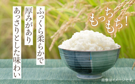 令和6年産  ヒノヒカリ 10kg [OCX004]