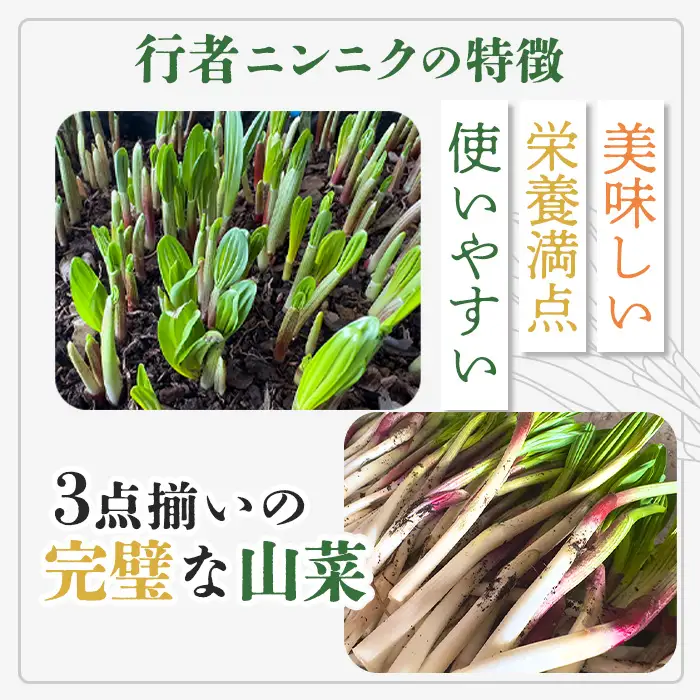 北海道中標津産 行者ニンニク醤油漬×3個・オイル味噌×3個セット【2000301】