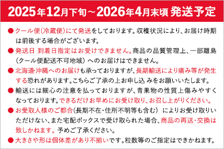 あまおうと旬のいちごの食べ比べセット 約300g×2パック 紅ほっぺ 恋みのり よつぼし スターナイト 星の煌き おすすめ 福岡県 大木町 BO002【2025年12月下旬～2026年4月末頃にかけて順次出荷予定】