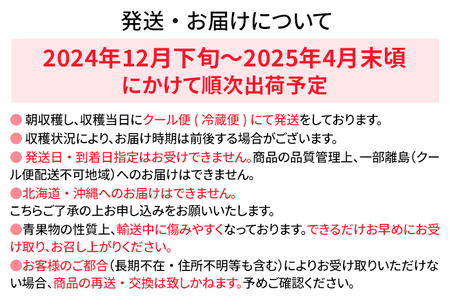 あまおう 約270g×2パック おすすめ 福岡県 大木町 BO003 【2026年12月下旬～2025年4月末頃にかけて順次出荷予定】いちご フルーツ 苺