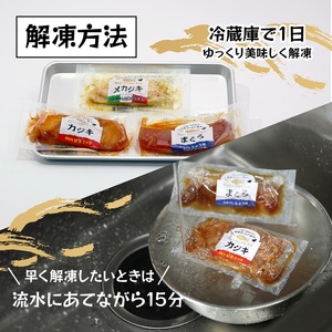 静岡県産！漬丼の具バラエティセット15P入 (a15-581)