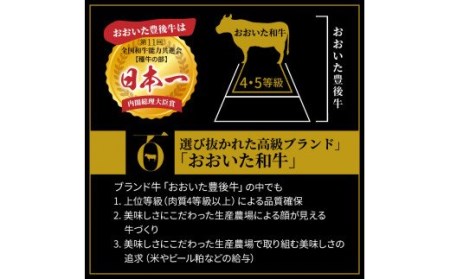 おおいた和牛リブローススライス600g _1085R