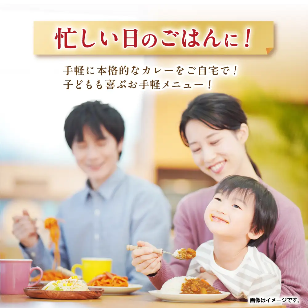 カレー中辛 40食  カレー AHAL003