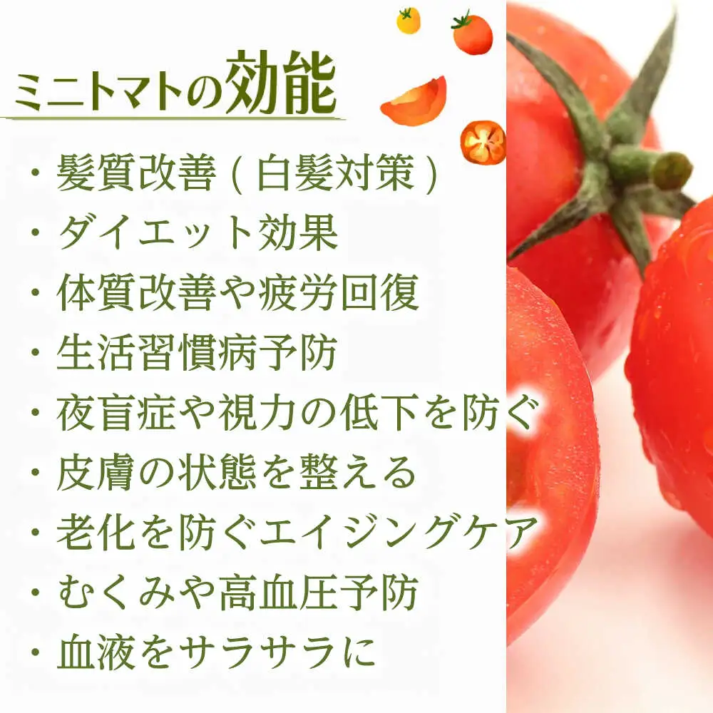 【訳あり】ミニトマト 3kg / 訳あり 訳アリ ミニトマト プチトマト トマト とまと 野菜 やさい / 諫早市 / 原農園 [AHCZ001]