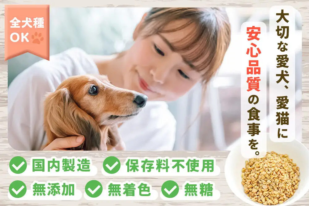 犬猫用 あとのせ納豆ふりかけ（たっぷりサイズ）100g×5個 計500g ペット 秋田県 大仙市