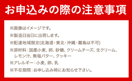 濃厚ベイクドチーズケーキ 1ホール(直径約17cm)