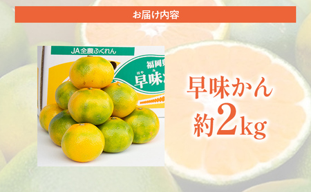 福岡県産ブランドみかん 「早味かん」約2kg箱