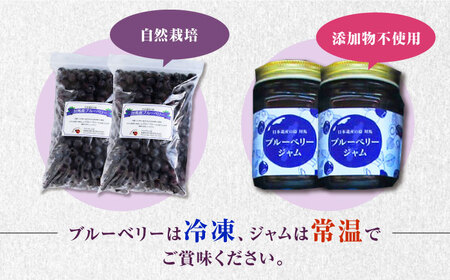 対馬産 大粒 ブルベーリー 700g×2袋 / ジャム セット 130g×2個 ブルーベリー フルーツ 詰め合わせ 朝食 新鮮 果実 ギフト   [WBG007]